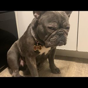 Meet your Posher, Michael